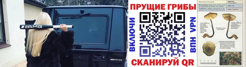 Галлюциногенные грибы прущие грибы  Купить закладки  Красноярск 
